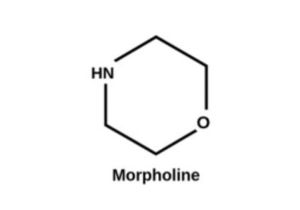 Morpholine